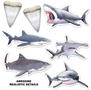 Shark Streamer Set