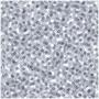 Printed Sequined Tablecover