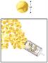 Push Up Confetti Poppers