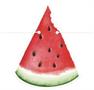 Watermelon Streamer