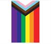 Pride Flag Pennant Banner