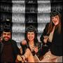 Metallic Fringe Garland Backdrop