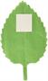 Spring Leaf Garland