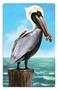 Pelican Cutout