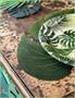 Fabric Tropical Palm Leaves