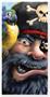 Pirate Door Cover