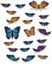 Butterfly Cutouts