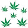Weed Cutouts