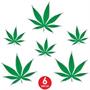 Weed Cutouts