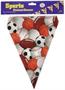 Sports Pennant Banner