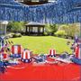 Pkgd 1-Ply Metallic Fringe Drape