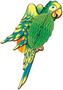 Tissue Exotic Birds