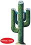Jointed Cactus