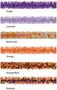 Pkgd Tissue Festooning