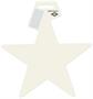 Foil Star Cutout