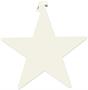 Foil Star Cutout