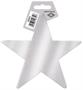 Foil Star Cutout