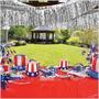 2-Ply Metallic Fringe Drape