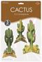 3-D Cactus Centerpieces