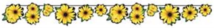 Sunflower Streamer