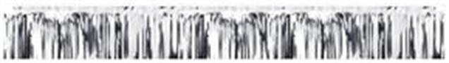 Metallic Fringe Banner