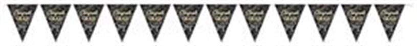 Metallic Congrats Grad Pennant Banner