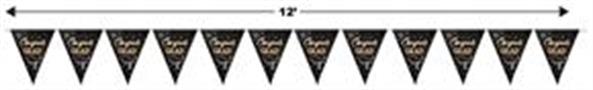 Metallic Congrats Grad Pennant Banner