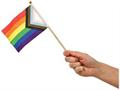 Pkgd Pride Flags