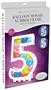 Balloon Mosaic Number "5" Frame