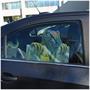 Dinosaur Car Cling