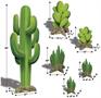 Western Cacti Stand-Ups