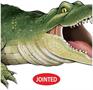 Jointed Crocodile