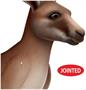 Jointed Kangaroo