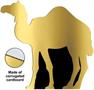 Camel Stand-Up