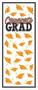 Congrats Grad Door Cover