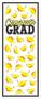Congrats Grad Door Cover