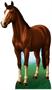 Horse Stand-Up