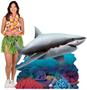 Shark Stand-Up