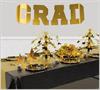 Foil Grad Streamer