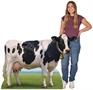 Cow Stand-Up