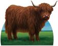 Highland Cow Stand-Up