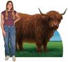 Highland Cow Stand-Up