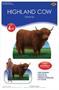 Highland Cow Stand-Up
