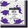 Congrats Grad Luncheon Napkins
