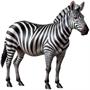 Jointed Zebra