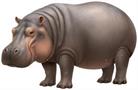 Jointed Hippopotamus