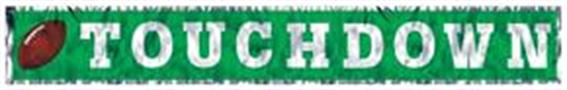 Metallic Touchdown Fringe Banner