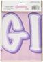 It's A Girl Door Cover