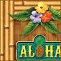 Aloha Door Cover