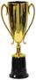 Trophy Cup Award